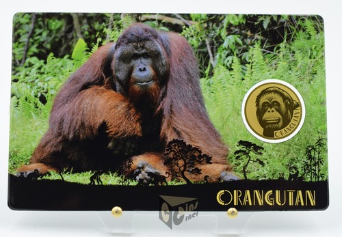 Orango asia big 1 - asia's, 1/1000