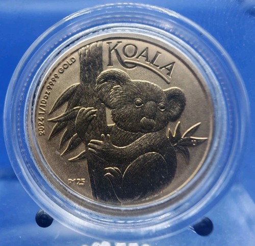 Australia koala 2024 - australia,