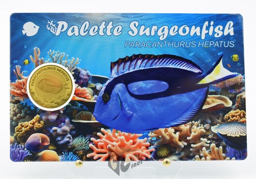 Surgeonfish 1000 moneta - 1/1000, oz