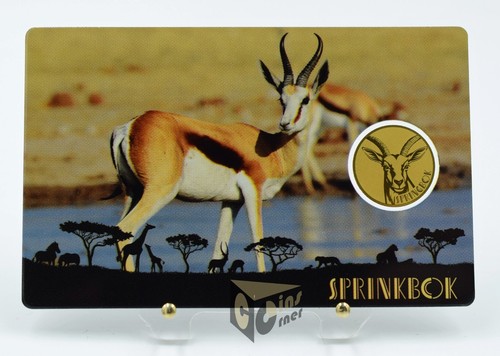 African sprinbok africa - african, africa's